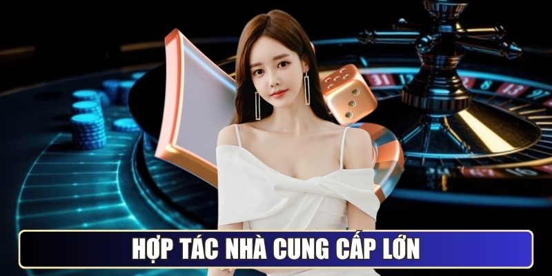Hợp tác nhà cung cấp lớn